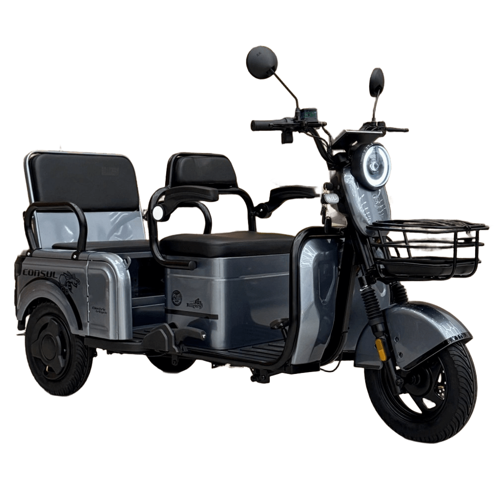 Купить Электрический трицикл Consul NL-673200 (1) + 1 ящик АКБ