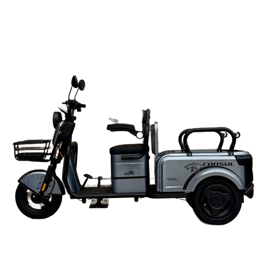 Купить Электрический трицикл Consul NL-673200 (1) + 1 ящик АКБ